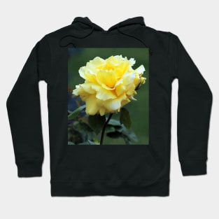 Single Yellow Rose floral Hoodie